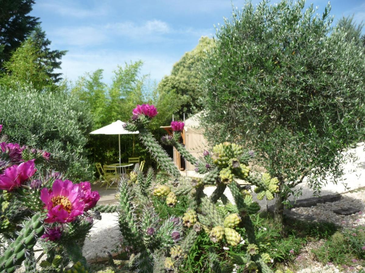 Mas Escombelle Bed & Breakfast Barjac  Exterior photo
